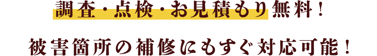 調査・点検・お見積もり無料！被害箇所の補修にもすぐ対応可能！
