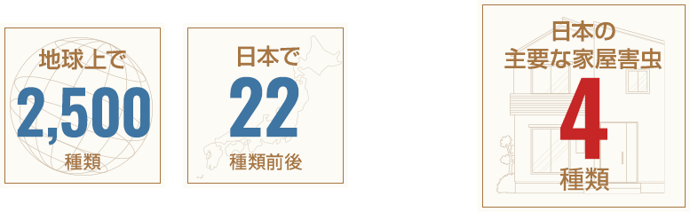 シロアリの種類