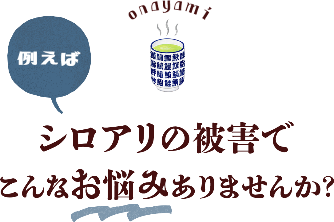 例えば　シロアリの被害で こんなお悩みありませんか？