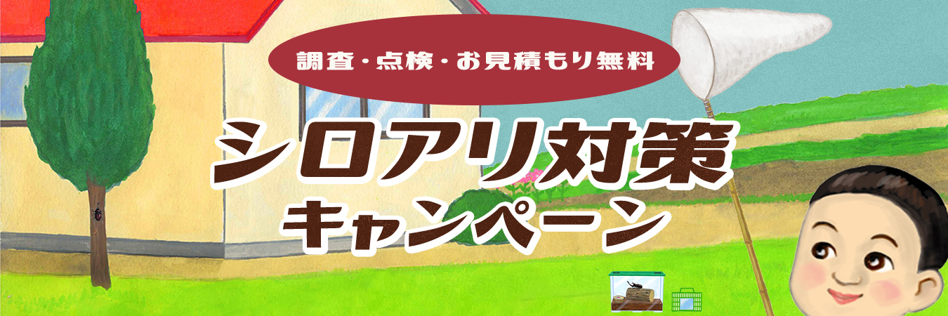 シロアリ対策キャンペーン